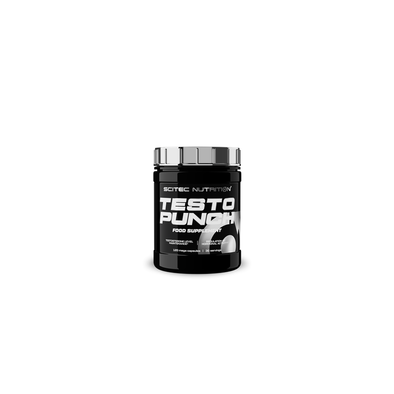 TESTO PUNCH TESTO PUNCH