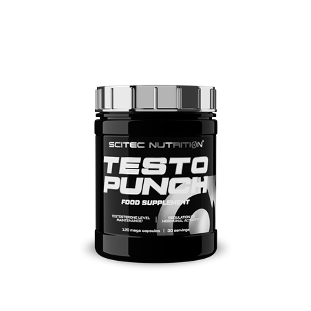 TESTO PUNCH