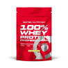 100% WHEY PROTEIN PROFESSIONAL(0,5kg)