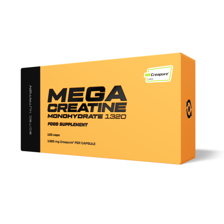 MEGA CREATINE MONOHYDRATE